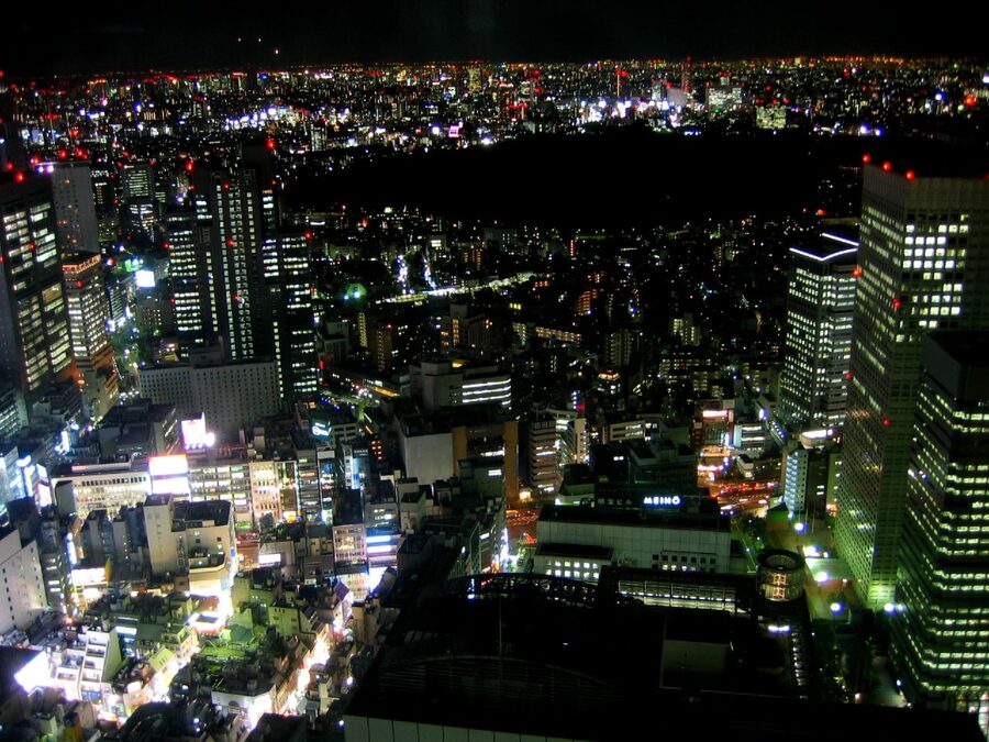 Shinjuku skyscraper district illuminated at night seen from elevated viewpoint