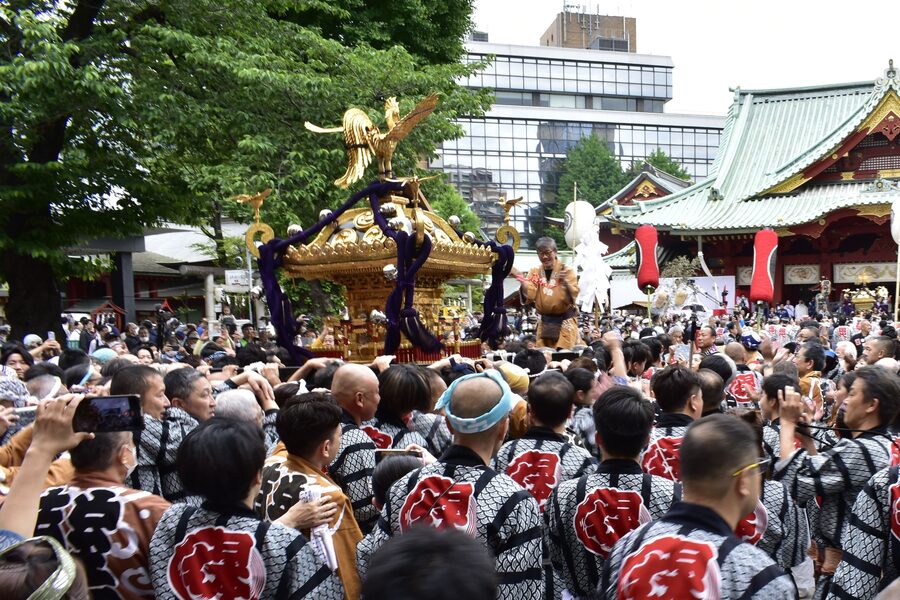 A team of festival-goers in matching happi coats carrying an elaborate gold-and-black mikoshi up the stone steps of Kanda Myojin shrine during the Mikoshi Miyairi.