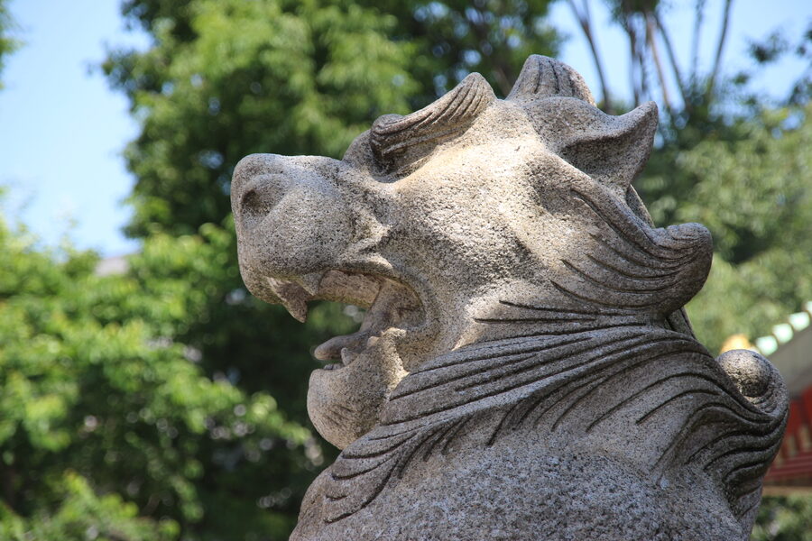 A close-up of a stone komainu guardian lion statue with open mouth at Kanda Myojin shrine.