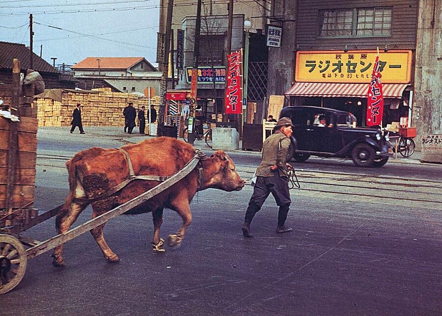 Akihabara Radio Center Tokyo electronics market early 1950s with vehicles and ox cart