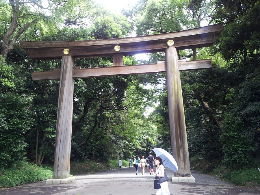 Tall hinoki cypress torii gate at the south entrance of Meiji Jingu shrine in Yoyogi forest, Tokyo