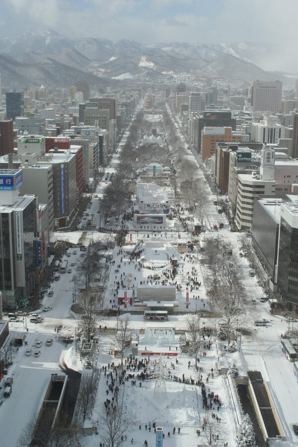 Aerial view of Odori Park snow sculptures from Sapporo TV Tower 2007