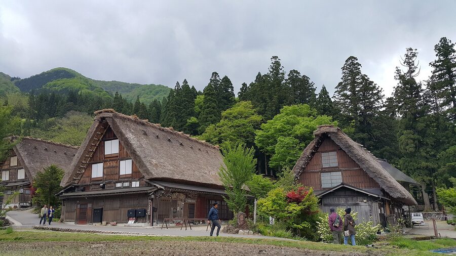 Shirakawa-go gassho-zukuri houses with steep thatched roofs in mountain valley