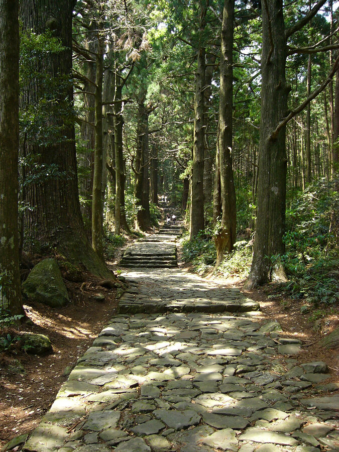 The mossy stone-paved Daimonzaka path lined with enormous cedars on the climb to Nachi