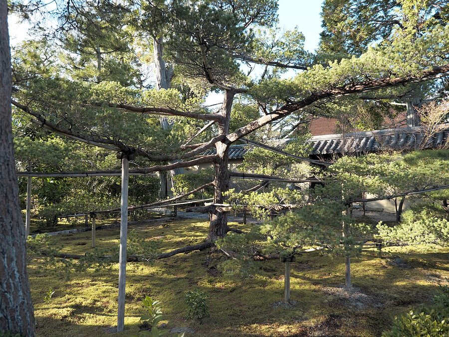 Close view of the upright stones representing a waterfall and the raked white gravel of the Daisen-in karesansui dry rock garden at Daitoku-ji Kyoto