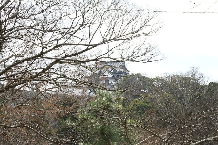 Genkyu-en pond with Hikone Castle tenshu reflected in the still water central borrowed scenery of Edo kaiyu-shiki garden