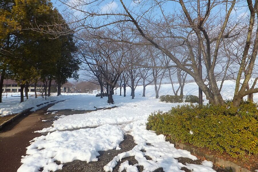 Hachimanbara Historic Park Nagano covered in February snow during the 2014 heavy snowfall