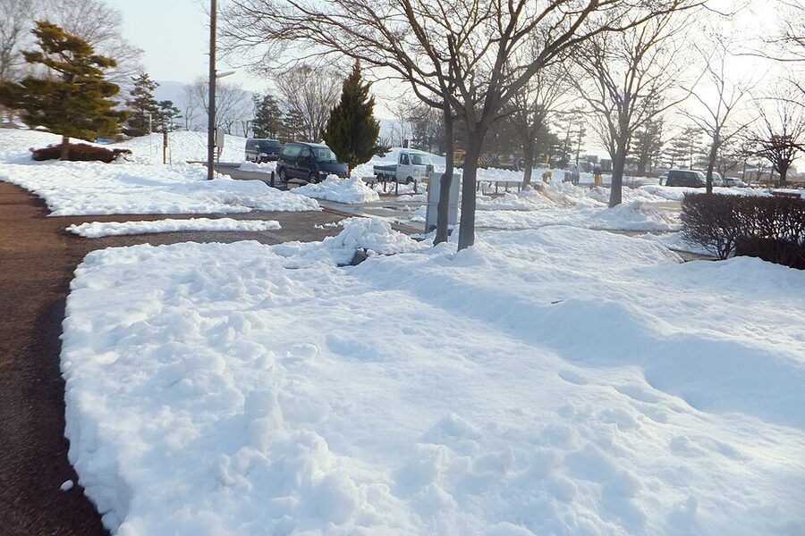Kawanakajima battlefield preserved at Hachimanbara Historic Park in Nagano with the duelling statues of Shingen and Kenshin