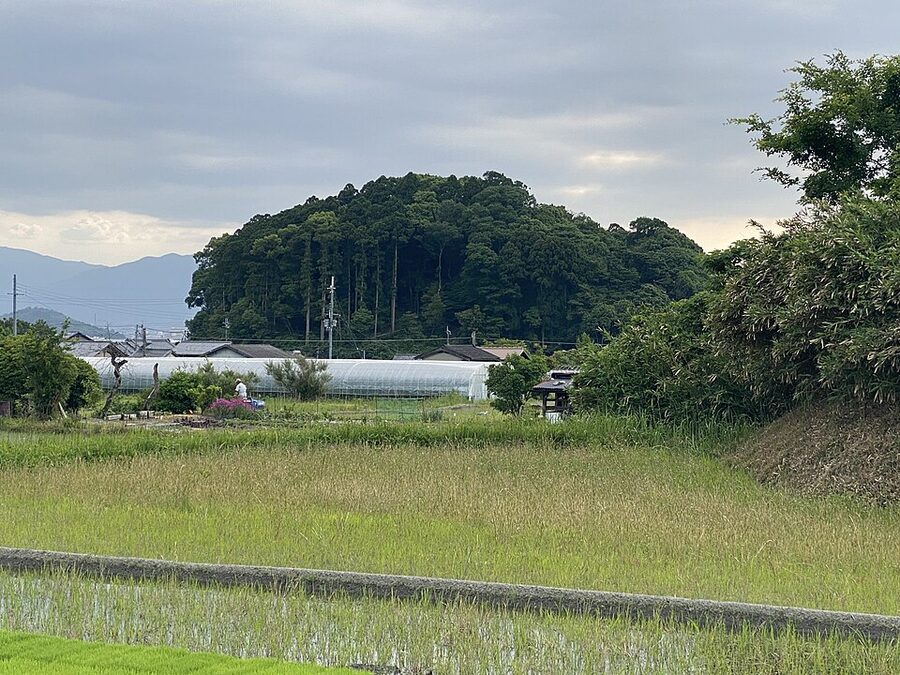 Agricultural land in Sakurai Nara with Hashihaka Kofun the possible tomb of Queen Himiko in the background