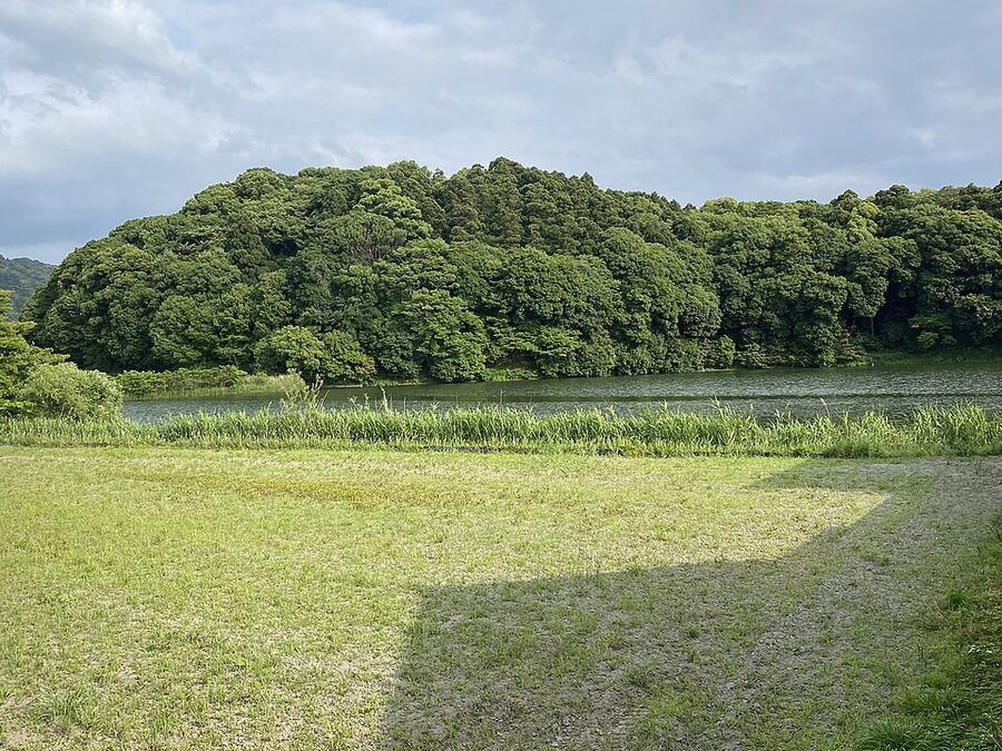 Distant view of Hashihaka Kofun forested tomb mound rising from the Sakurai plain in Nara prefecture