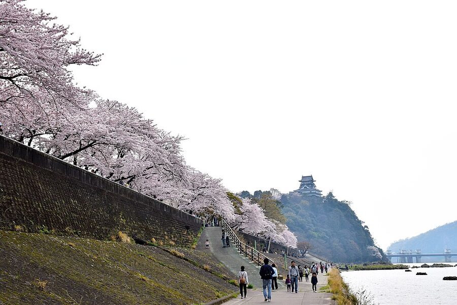 Inuyama Castle and the Kiso River panorama showing the cliff-top tenshu and the Gifu bank opposite