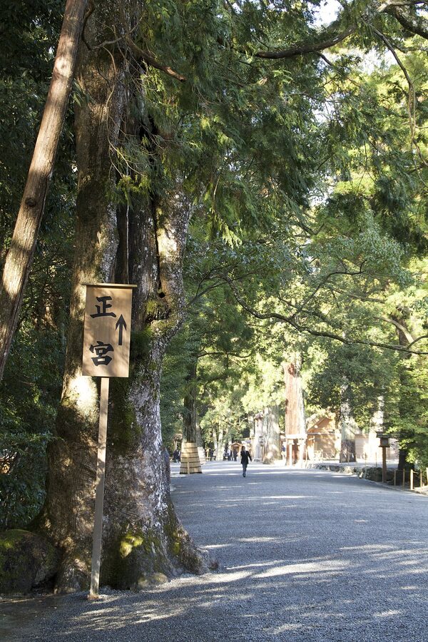 Ise Grand Shrine torii at dawn