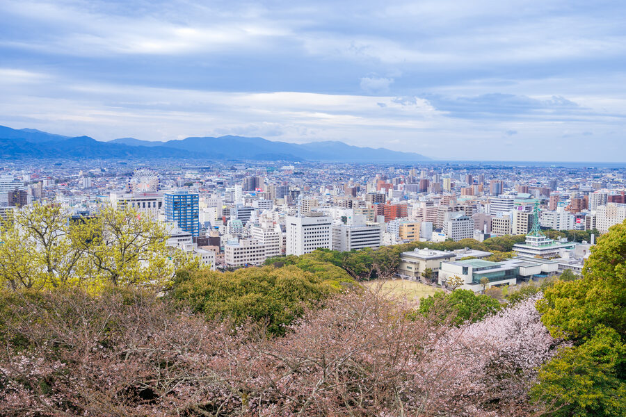 Iyo-Matsuyama Castle tenshu framed by cherry blossoms in April a designated Top 100 Cherry Blossom Spot in Japan since 1989