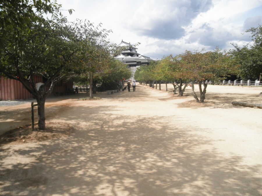 Iyo-Matsuyama Castle photographed from the base of the ishigaki stone wall showing the full height of the hilltop keep