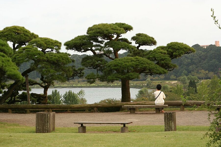 Kobuntei three-storey study pavilion behind plum trees at Kairakuen Mito
