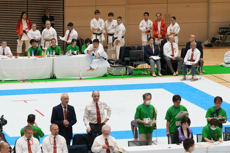 Modern karateka performing the Enpi flying swallow kata