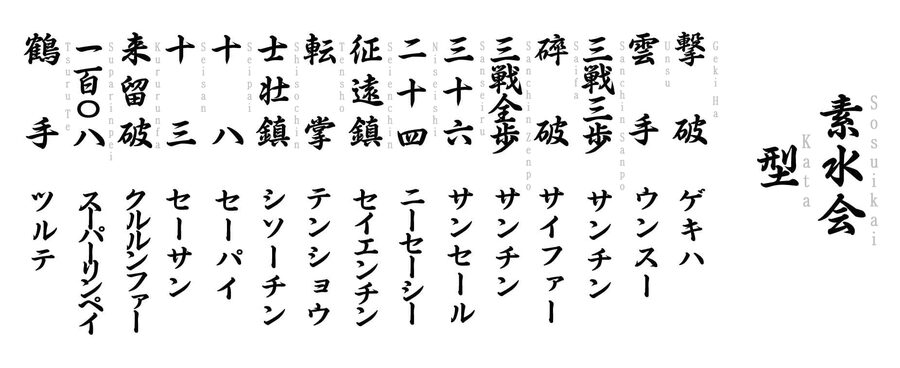 Sosuikai karate practitioners practicing kata together in a modern dojo