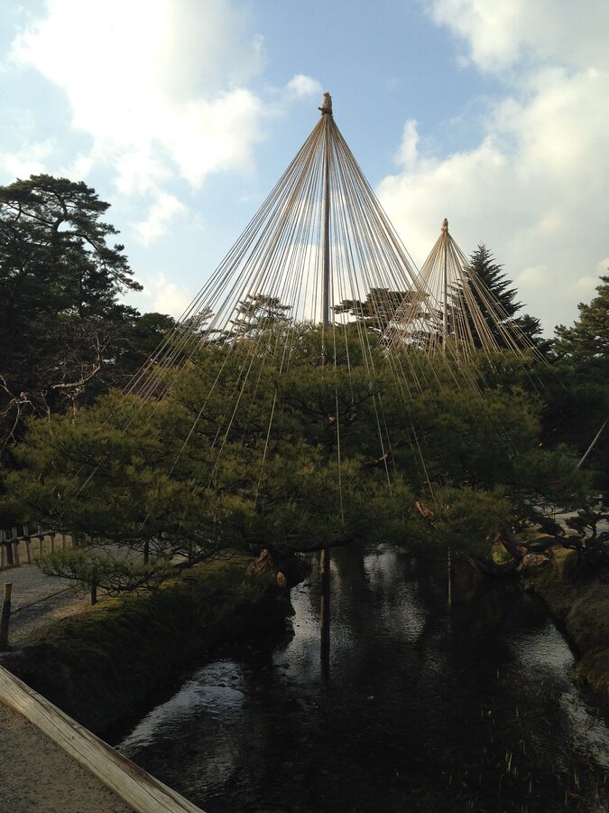 Yukitsuri rope cones protecting Karasaki pine branches from winter snow at Kenroku-en