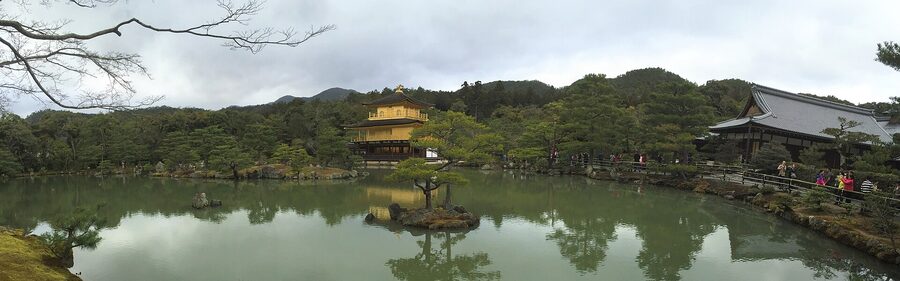 Wide panoramic view of Kinkaku-ji the Golden Pavilion with surrounding gardens in spring March 2016 in Kyoto