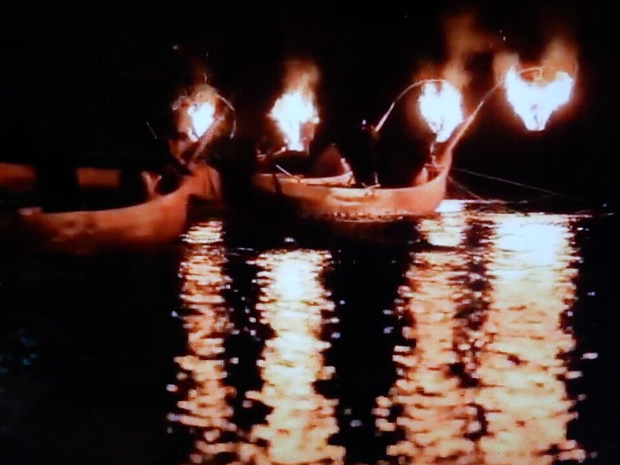 Cormorant fishing boat ukai on the Kiso River below Inuyama Castle one of Japans three surviving imperial cormorant fisheries