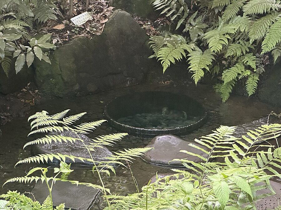 Kiyomasas well Kiyomasa-no-Ido preserved at the Meiji Shrine inner garden Tokyo