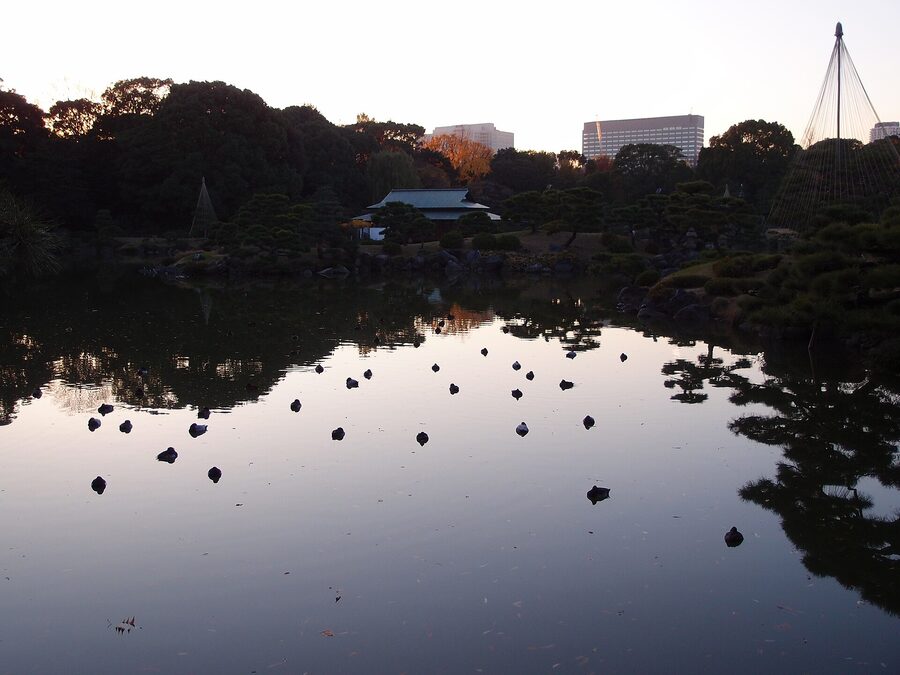 Pond and stepping stones at Kiyosumi the Iwasaki Mitsubishi era garden