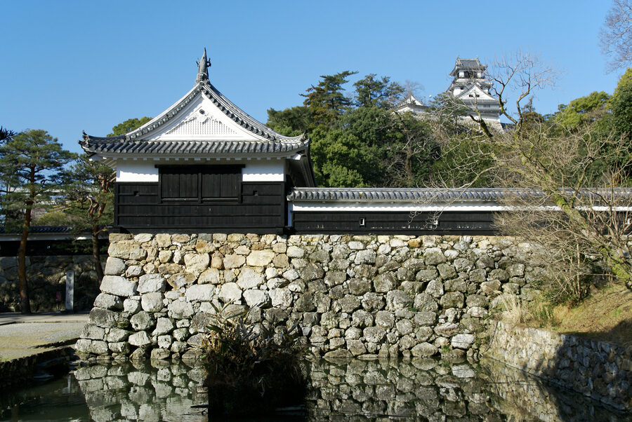 Composite view of the Kochi Castle tenshu with the surrounding ishigaki walls and a pine tree on the honmaru