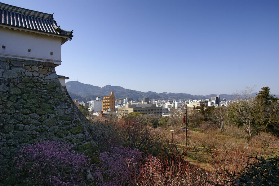 Detail of the Kochi Castle keep showing the distinctive top-floor open balcony known as togo and the connecting watari-yagura passage
