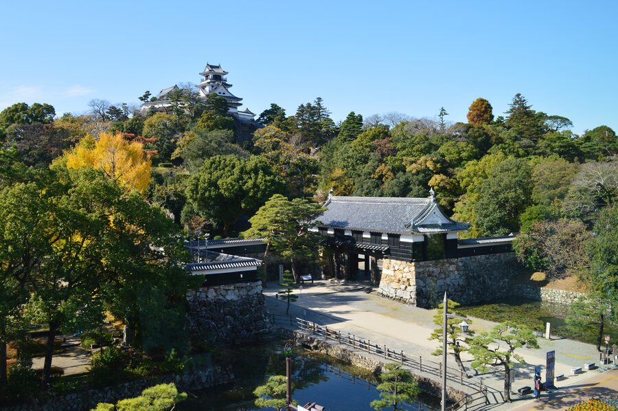 Wide panoramic distant view of the Kochi Castle complex showing the tenshu honmaru palace and stone walls on Otakasaka hill
