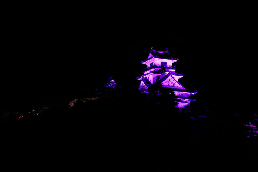 The Kochi Castle tenshu illuminated at night during an evening light-up event showing the keep glowing against the Kochi city skyline