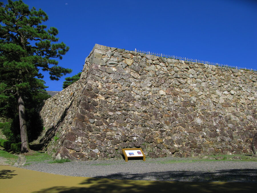 Close view of the sannomaru ishigaki stone wall at Kochi Castle showing the nozurazumi irregular-fit masonry typical of early Edo castles