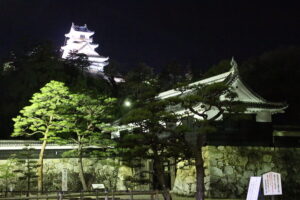 The four-story exterior three-story interior tenshu of Kochi Castle rebuilt in 1749 on Otakasaka hill in Kochi city