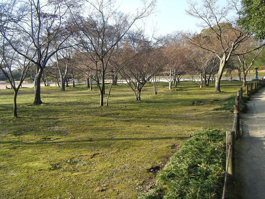 Water channel lined with black pines and stepping stones winding through Korakuen garden