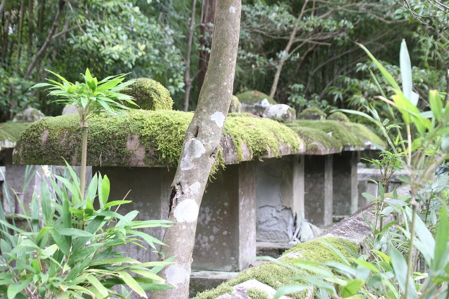 Maple-lined approach at Koto-in the Hosokawa subtemple