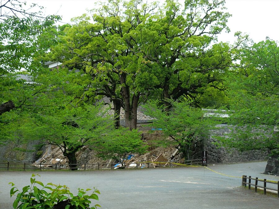 Wide view of Kumamoto Castle grounds after April 2016 earthquake showing collapsed stone walls and damaged yagura across the complex