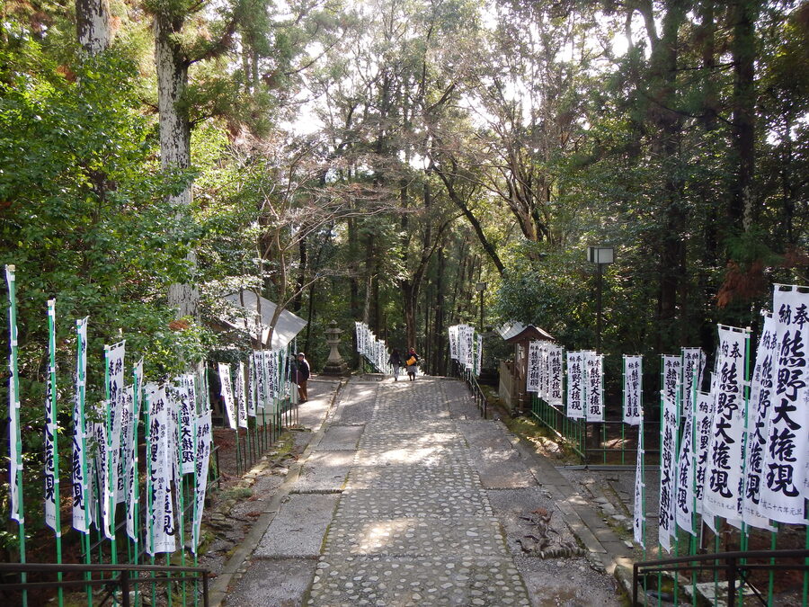 Stone steps lined with cedars climbing up to Kumano Hongu Taisha