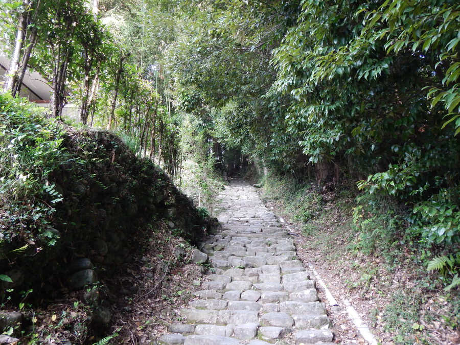 Kumano Hongu Taisha shrine pavilion with cedar shingle roof at Tanabe