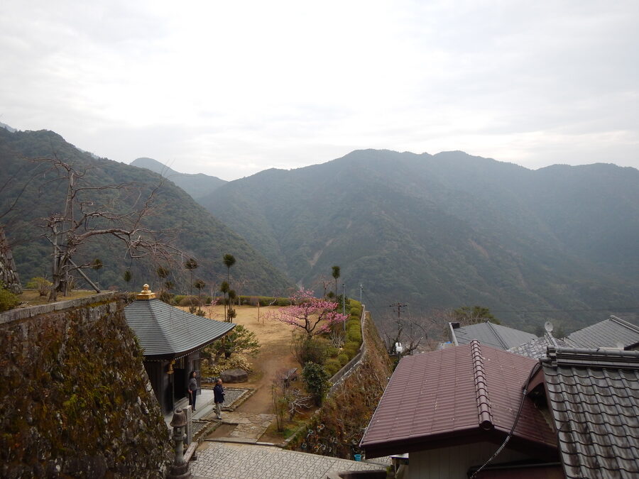 Kumano Hongu Taisha sub-pavilion seen from the wooded approach courtyard