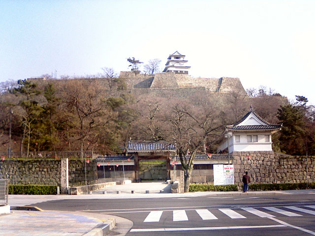 Full panorama of Marugame Castle showing the Kameyama hill and tenshu