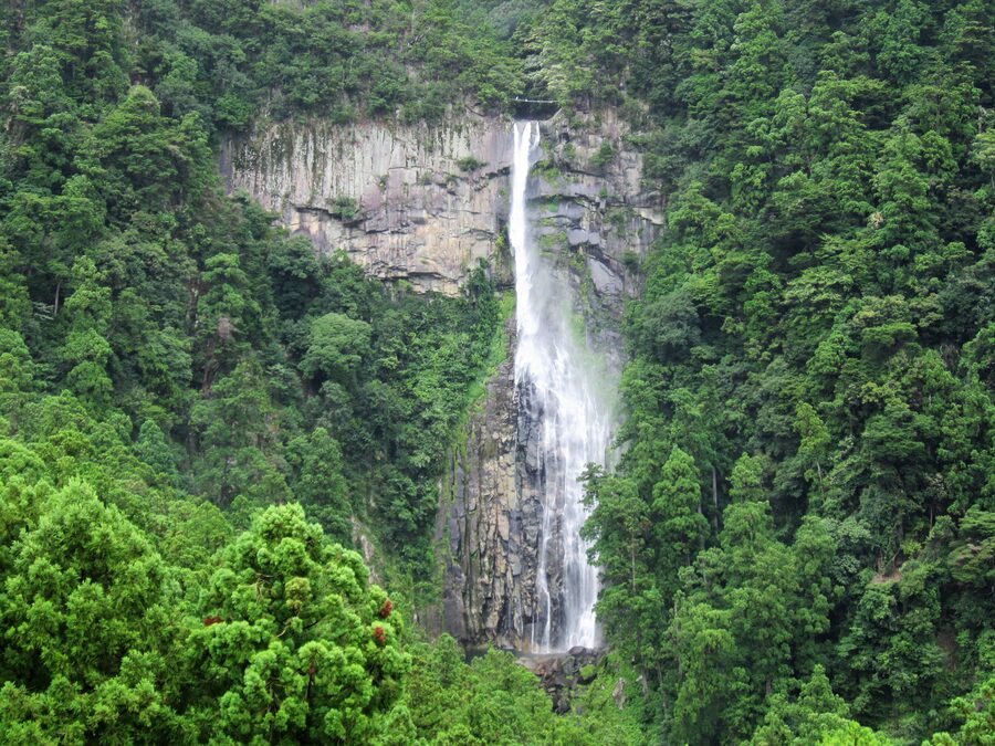 Nachi Falls plunging in a single 133-metre drop with green forested cliffs around it