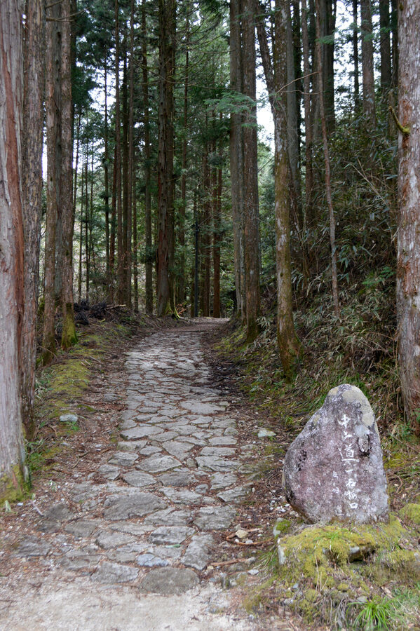 Stone-paved Nakasendo highway path between Magome and Tsumago in the Kiso Valley with autumn forest