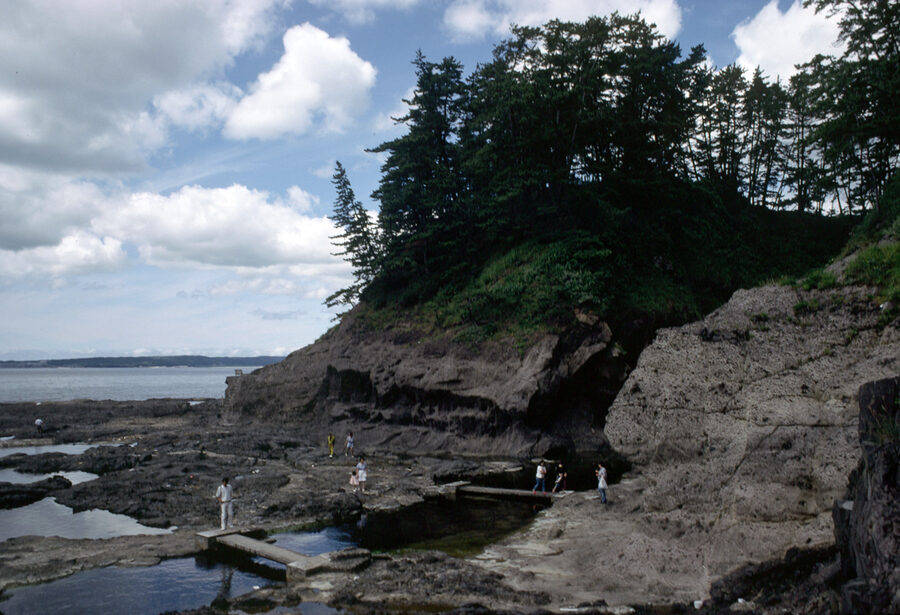 Rugged Noto Peninsula coastline with low cliffs and pine trees above the Sea of Japan