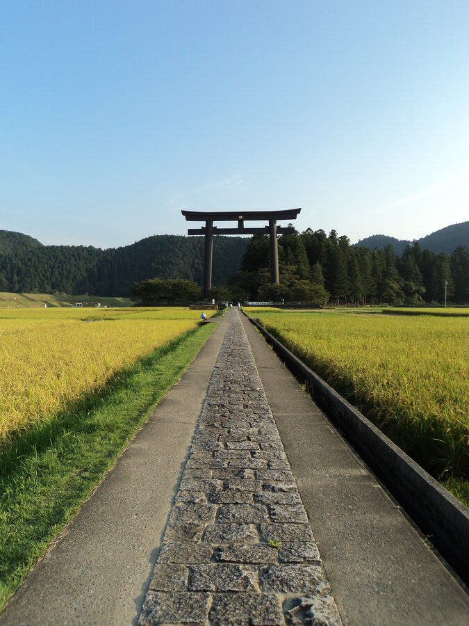 Autumn view of Oyunohara, the original Hongu site, with rice fields turned gold