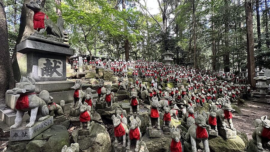 Panoramic view of Reiko-zuka showing dense rows of fox statues under forest canopy