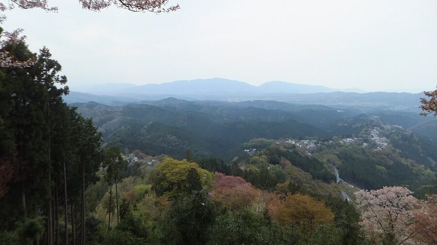 Mount Yoshino Nara cherry blossoms with village houses among wild yamazakura trees