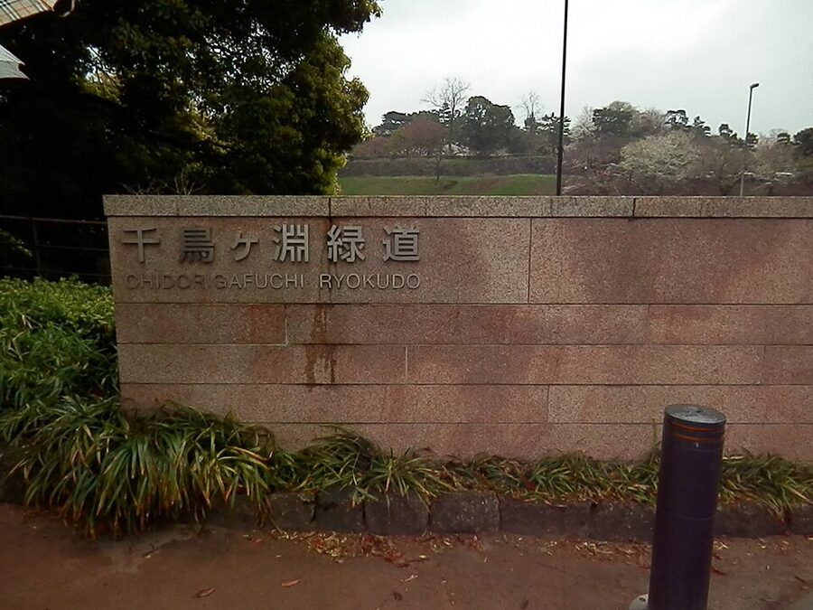 Chidorigafuchi moat in central Tokyo with cherry blossoms lining the waterway and rowboats below
