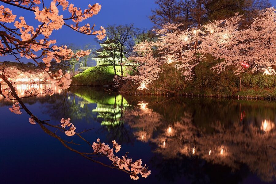 Takada Castle Cherry Blossom Festival in Joetsu Niigata with moat and illuminated castle tower among cherries