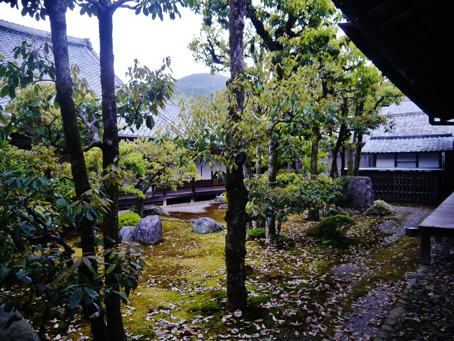 Sanbō-in garden at Daigo-ji temple in Kyoto designed by Toyotomi Hideyoshi for the 1598 Daigo no Hanami cherry blossom party