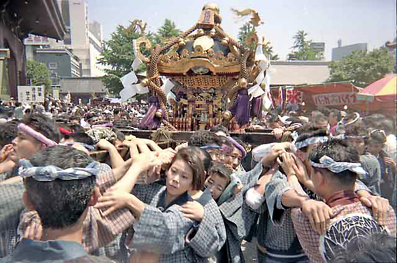 Sanja Matsuri mikoshi being held aloft by bearers in a classic festival scene