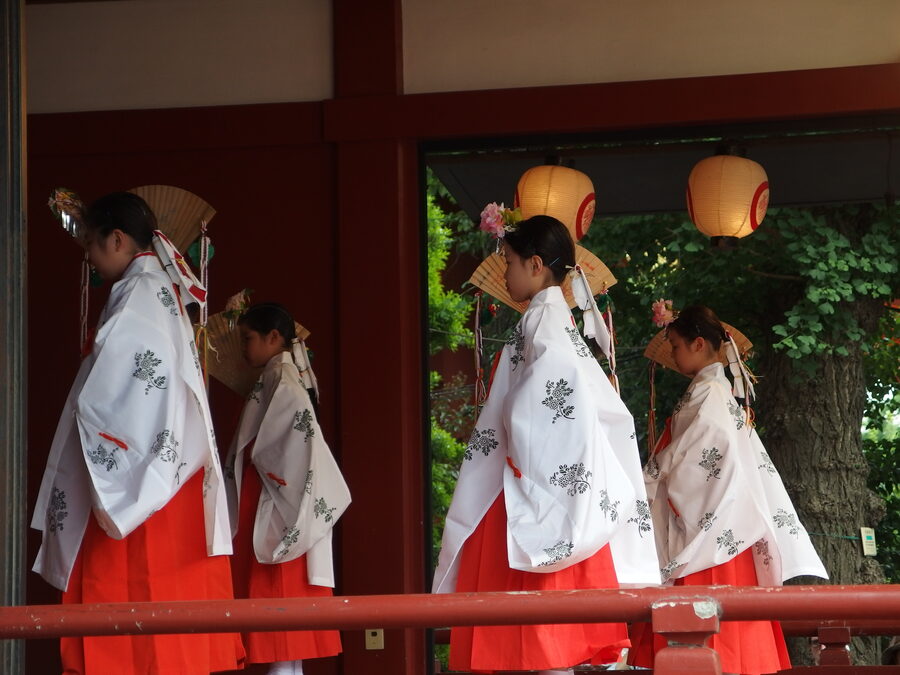 Mikoshi gathered at Asakusa Shrine courtyard during Sanja Matsuri